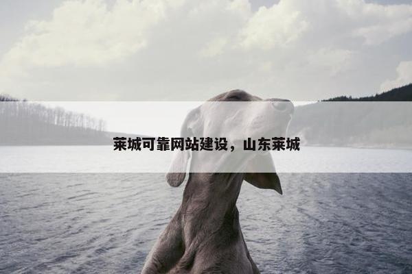 莱城可靠网站建设，山东莱城