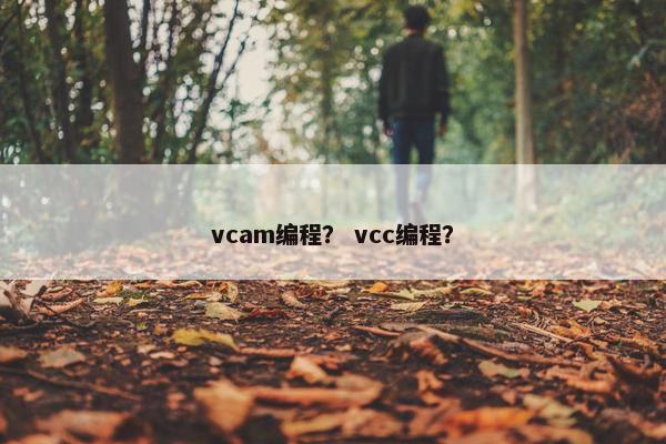 vcam编程？ vcc编程？