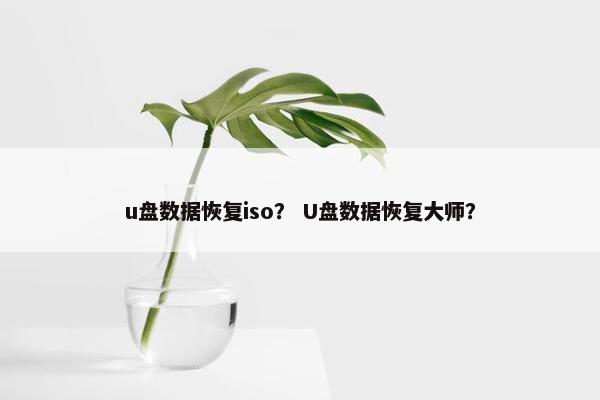 u盘数据恢复iso？ U盘数据恢复大师？