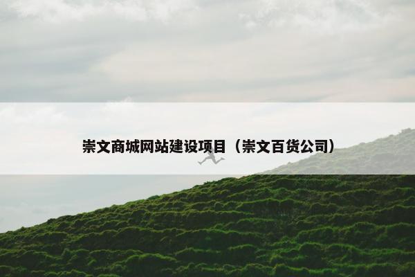 崇文商城网站建设项目（崇文百货公司）
