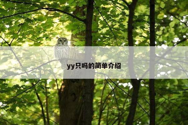 yy只吗的简单介绍