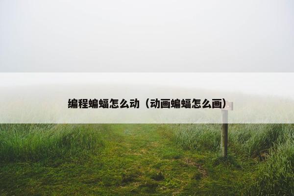 编程蝙蝠怎么动（动画蝙蝠怎么画）