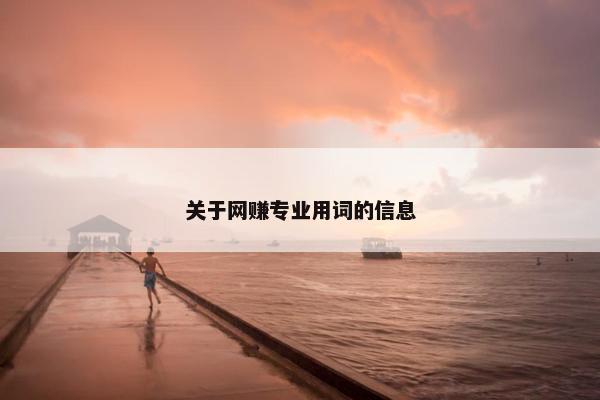 关于网赚专业用词的信息