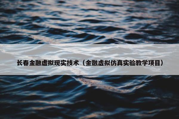 长春金融虚拟现实技术（金融虚拟仿真实验教学项目）