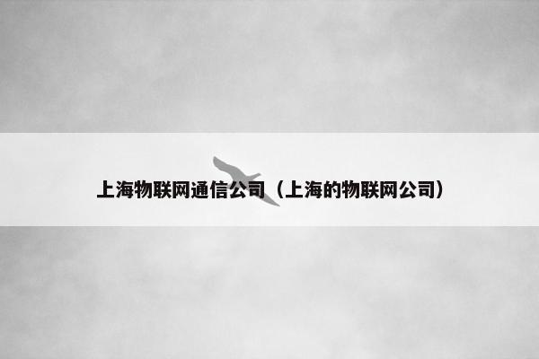 上海物联网通信公司（上海的物联网公司）