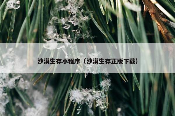 沙漠生存小程序（沙漠生存正版下载）