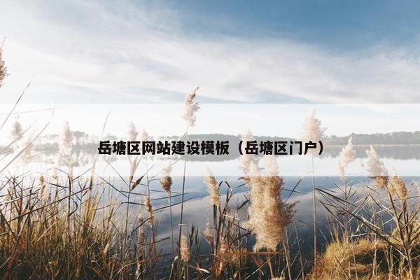 岳塘区网站建设模板（岳塘区门户）