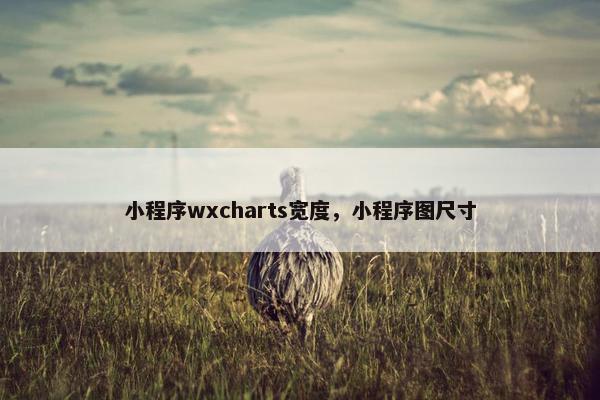 小程序wxcharts宽度，小程序图尺寸