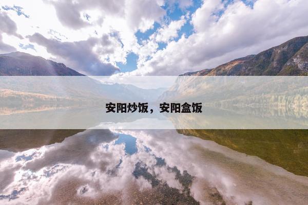 安阳炒饭，安阳盒饭
