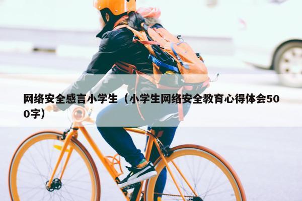 网络安全感言小学生（小学生网络安全教育心得体会500字）