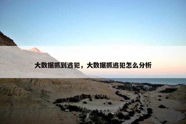 大数据抓到逃犯，大数据抓逃犯怎么分析