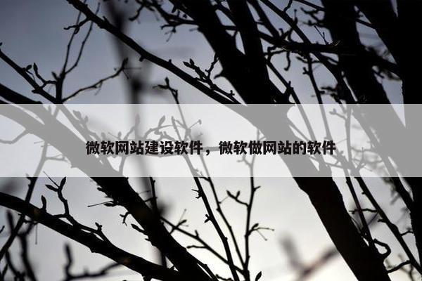 微软网站建设软件，微软做网站的软件