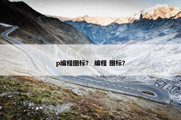 p编程图标？ 编程 图标？