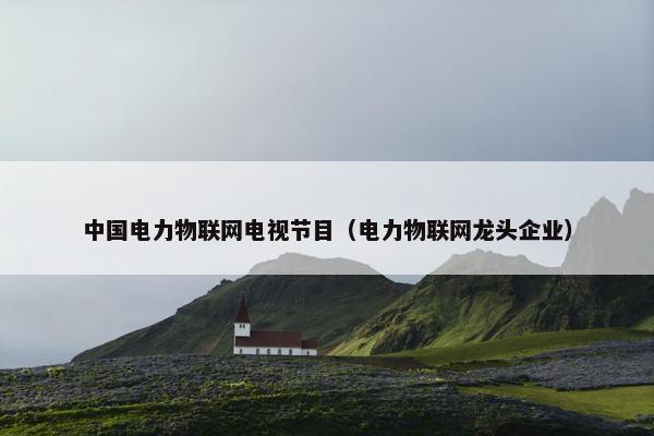中国电力物联网电视节目（电力物联网龙头企业）