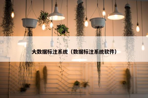 大数据标注系统（数据标注系统软件）