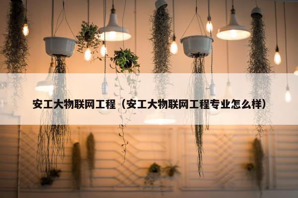 安工大物联网工程（安工大物联网工程专业怎么样）