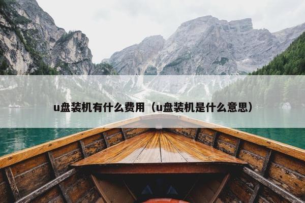 u盘装机有什么费用（u盘装机是什么意思）