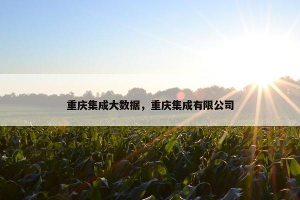 重庆集成大数据，重庆集成有限公司