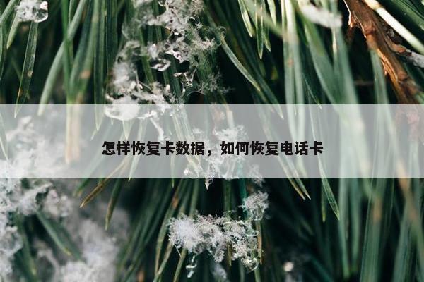 怎样恢复卡数据，如何恢复电话卡