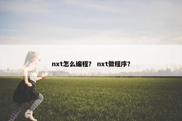 nxt怎么编程？ nxt做程序？