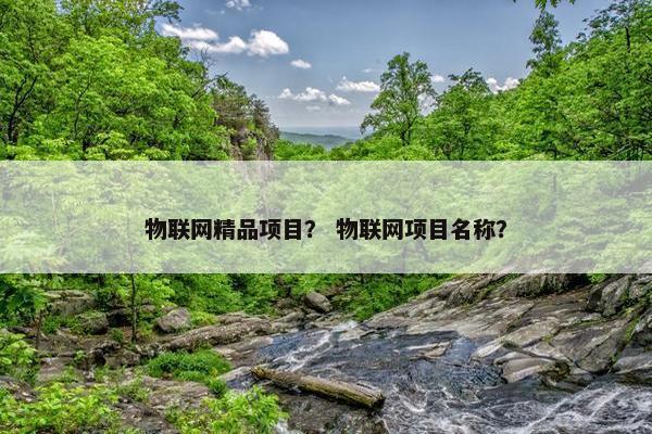 物联网精品项目？ 物联网项目名称？