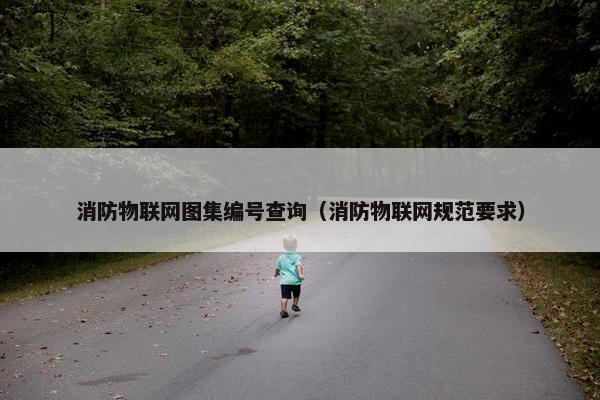 消防物联网图集编号查询（消防物联网规范要求）