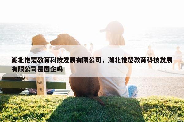 湖北惟楚教育科技发展有限公司，湖北惟楚教育科技发展有限公司是国企吗