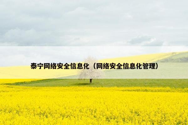 泰宁网络安全信息化（网络安全信息化管理）