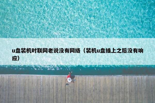 u盘装机时联网老说没有网络（装机u盘插上之后没有响应）