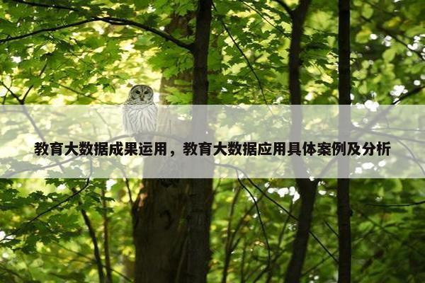 教育大数据成果运用，教育大数据应用具体案例及分析