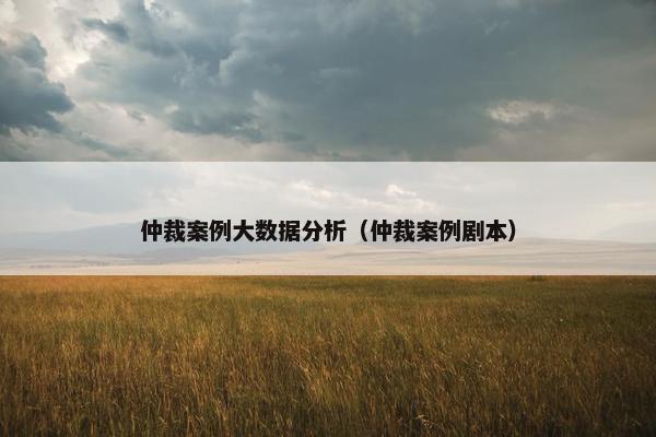 仲裁案例大数据分析（仲裁案例剧本）