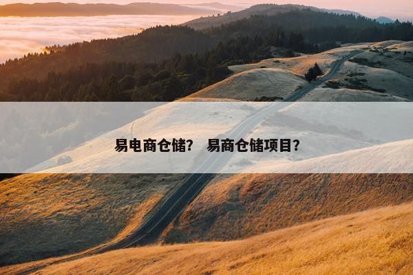易电商仓储？ 易商仓储项目？