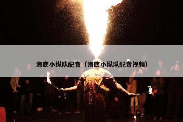 海底小纵队配音（海底小纵队配音视频）