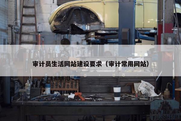 审计员生活网站建设要求（审计常用网站）