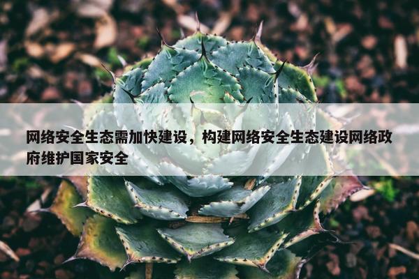 网络安全生态需加快建设，构建网络安全生态建设网络政府维护国家安全