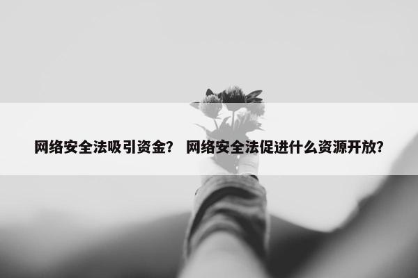 网络安全法吸引资金？ 网络安全法促进什么资源开放？