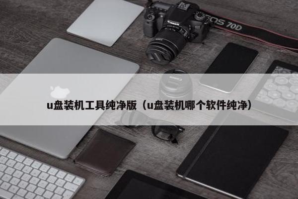 u盘装机工具纯净版（u盘装机哪个软件纯净）