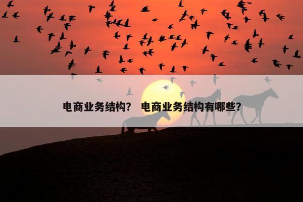 电商业务结构？ 电商业务结构有哪些？
