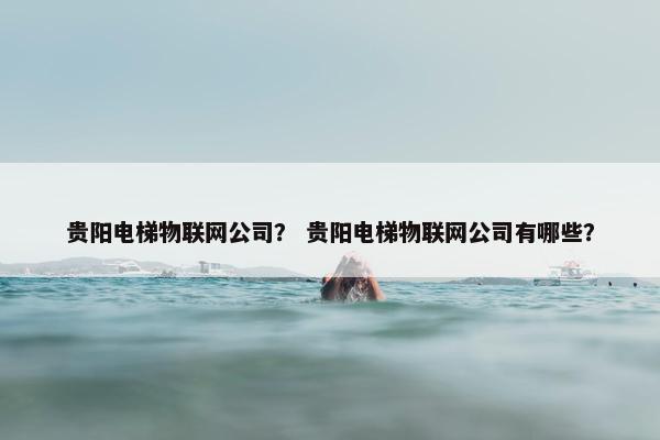 贵阳电梯物联网公司？ 贵阳电梯物联网公司有哪些？