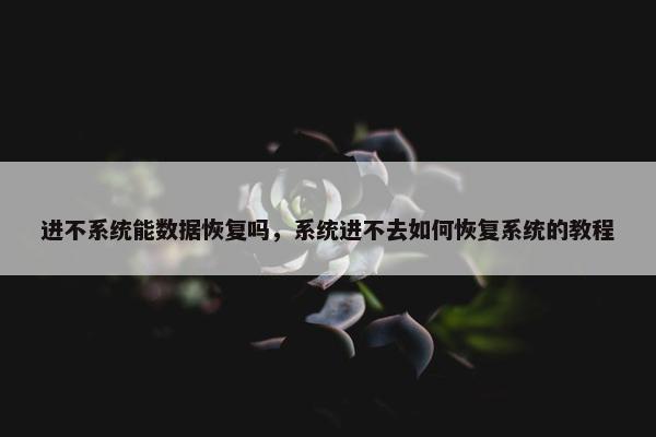 进不系统能数据恢复吗，系统进不去如何恢复系统的教程