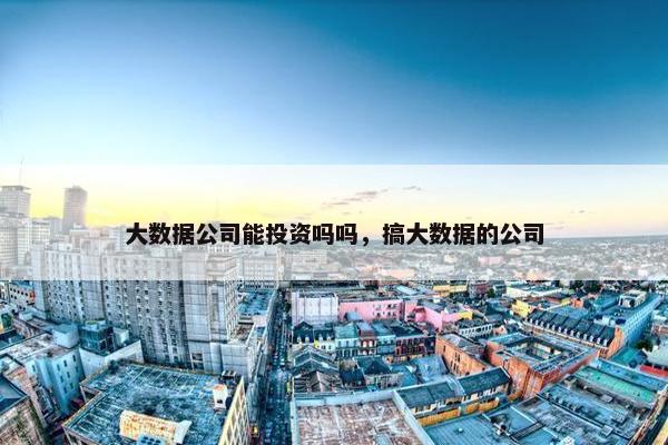 大数据公司能投资吗吗，搞大数据的公司