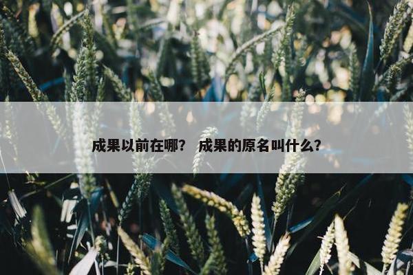 成果以前在哪？ 成果的原名叫什么？