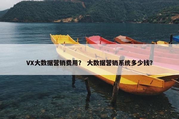 VX大数据营销费用？ 大数据营销系统多少钱？