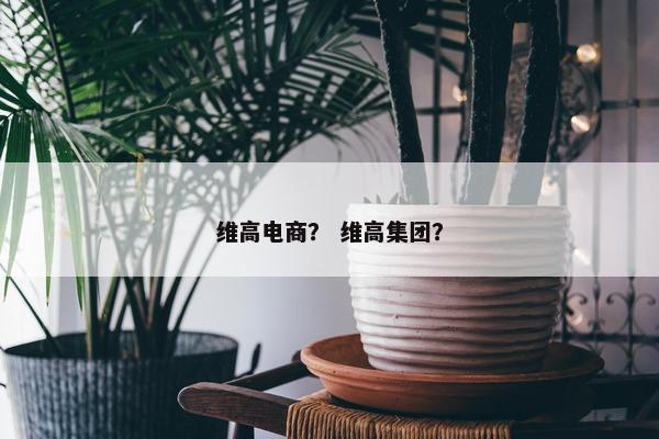 维高电商？ 维高集团？