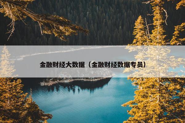 金融财经大数据（金融财经数据专员）