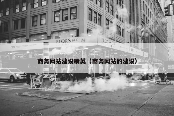 商务网站建设精英（商务网站的建设）
