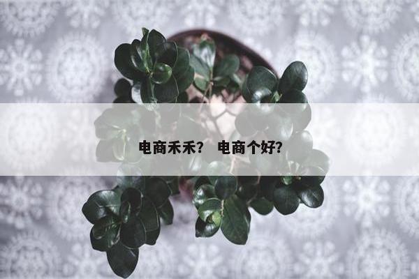 电商禾禾？ 电商个好？