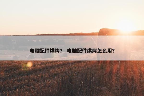 电脑配件烘烤？ 电脑配件烘烤怎么用？