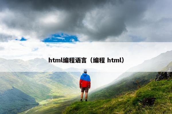 html编程语言（编程 html）