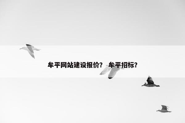 牟平网站建设报价？ 牟平招标？